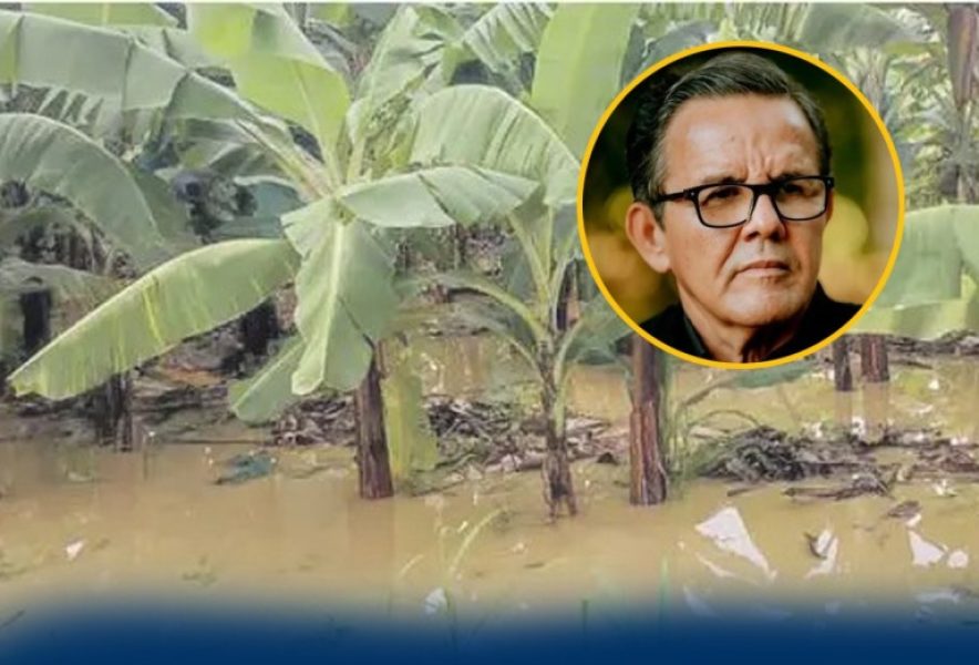 74ac496e-1e8c-4aab-81f3-c1caf2a74007