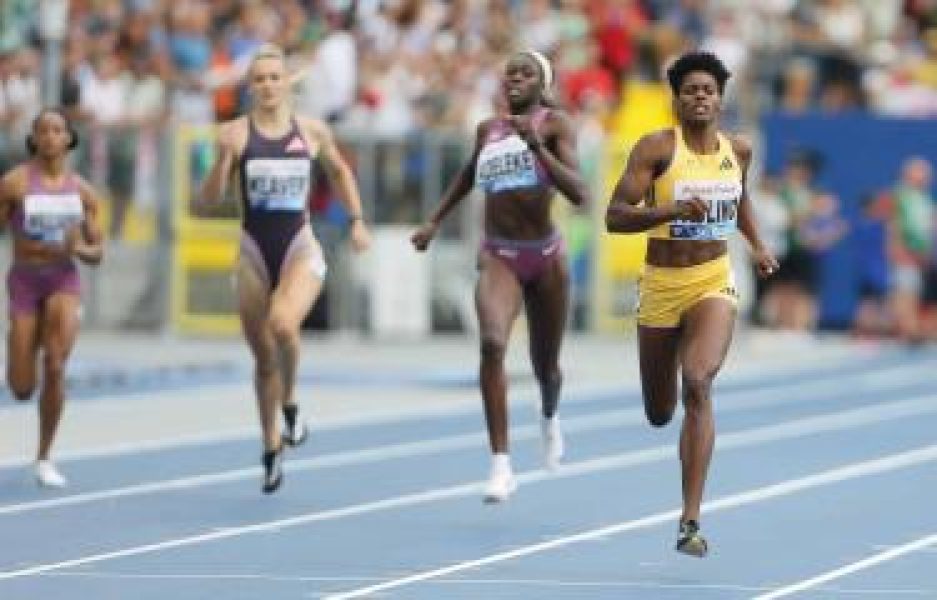 8022240479001-2ea7dcb4-focus-0.46-0.65-375-240