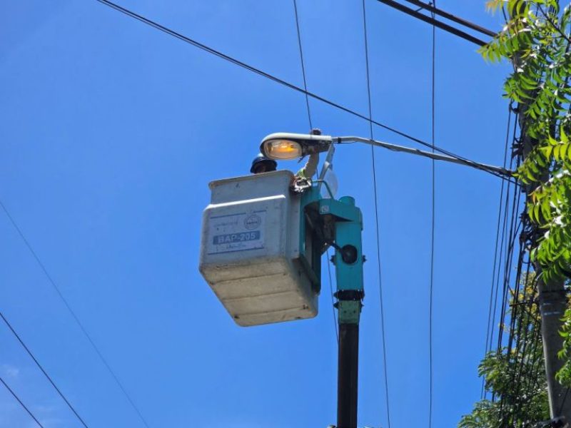 Brigadistas-en-terreno-2