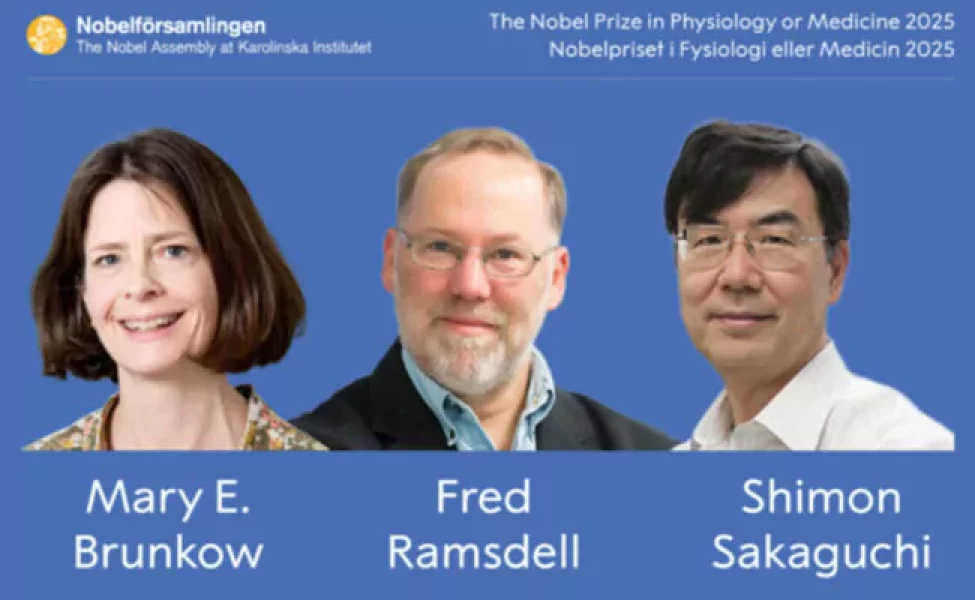 Nobel-de-Medicina-a-Brunkow-Ramsdell-y-Sakaguchi-650x400